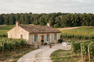 Vue d'ensemble d'un gîte de charme en Nouvelle-Aquitaine entouré de vignes et de forêts de chênes, illustrant le top 10 des gîtes 2026